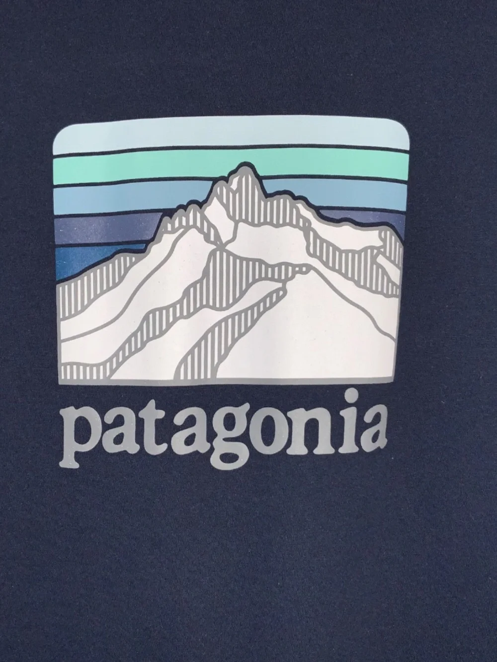 Patagonia Line Logo Ridge Pocket Responsibili Tee Short Sleeve T-Shirt
